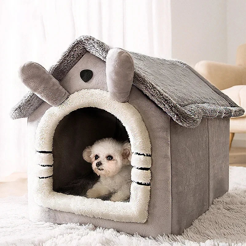 Hunde und katzen Haus
