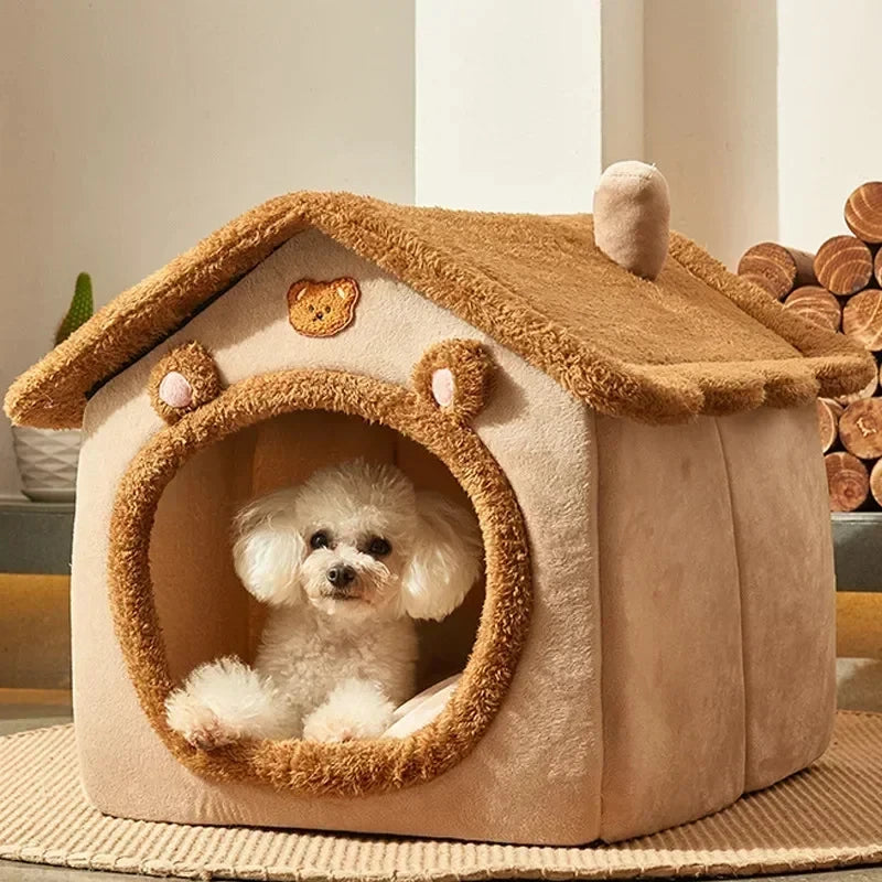 Hunde und katzen Haus