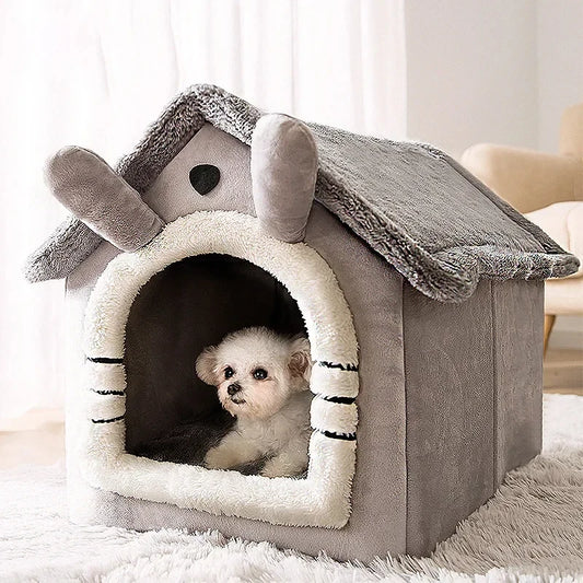 Hunde und katzen Haus